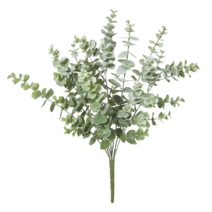 Eucalyptus bush