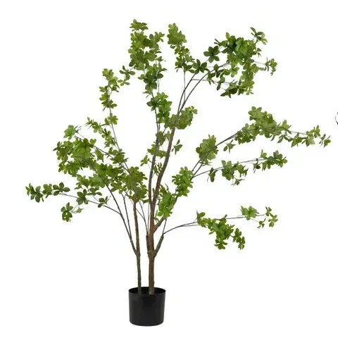 Schefflera Tree 152cm 