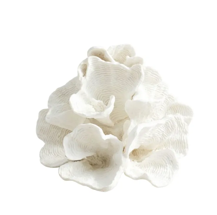 White wave coral sml