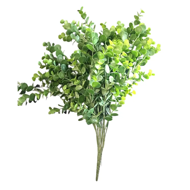 Eucalyptus Bush Large 50cm