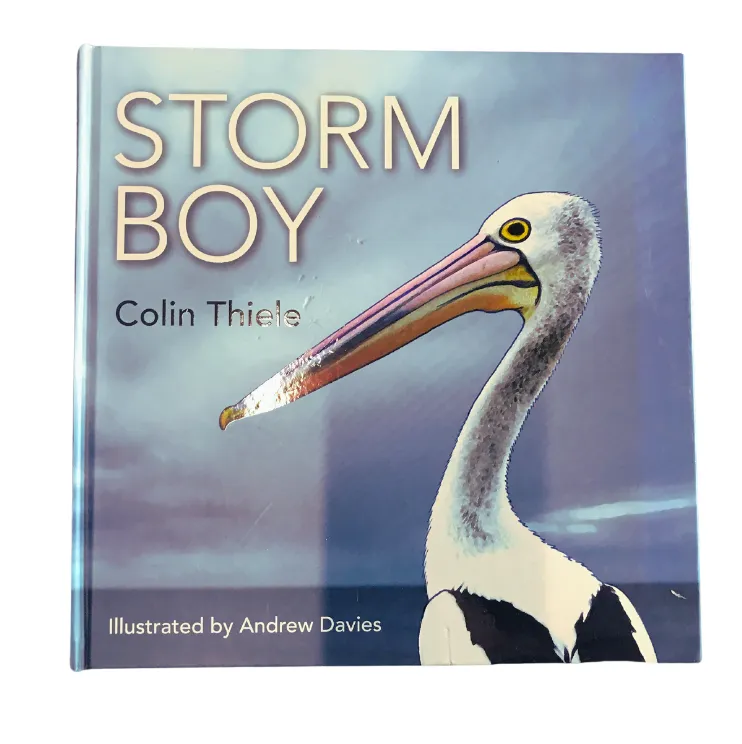 Storm Boy Kids Book