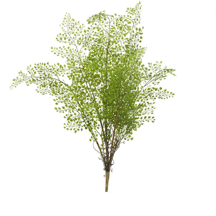 Pvc maidenhair stem