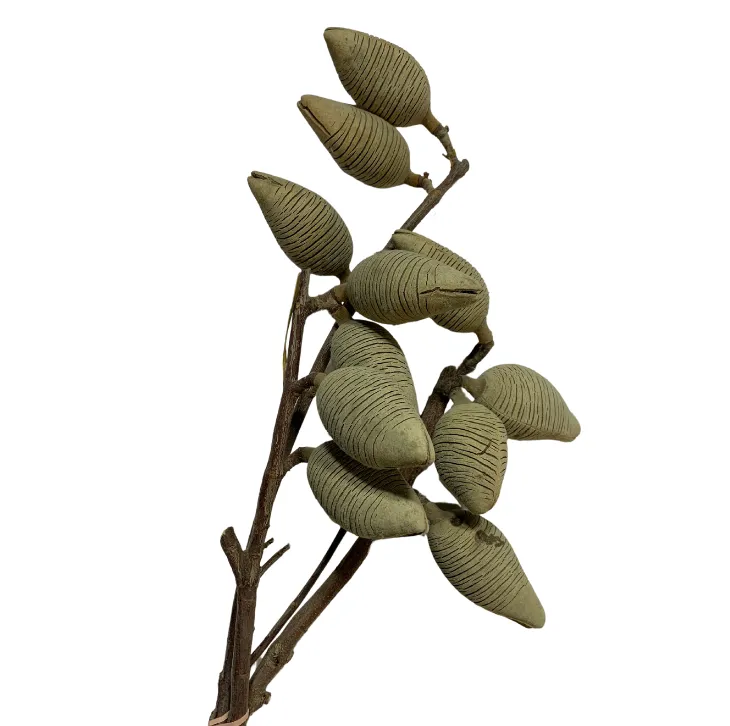 Nutbush 30cm