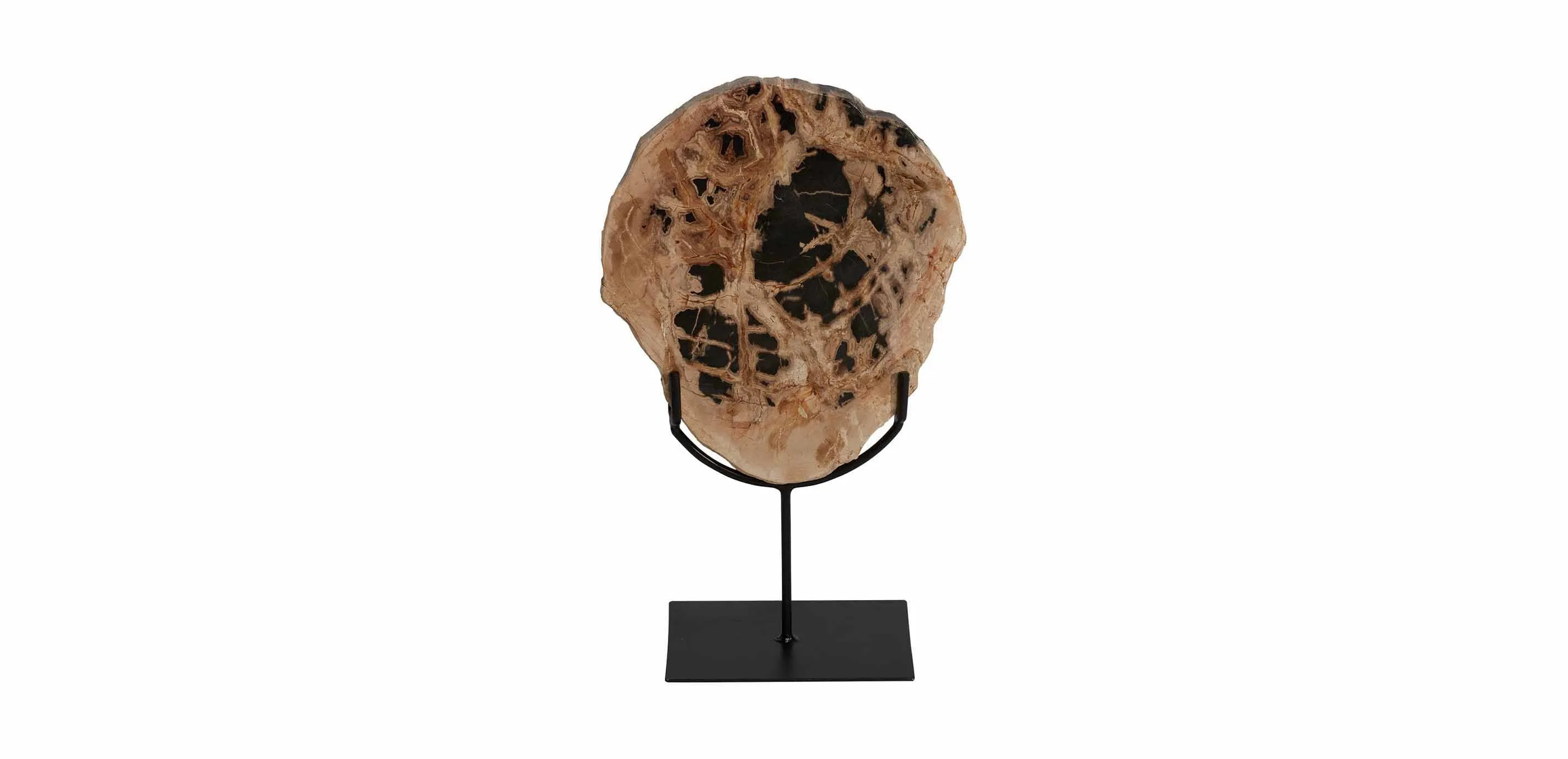 Petrified Wood On Stand Large