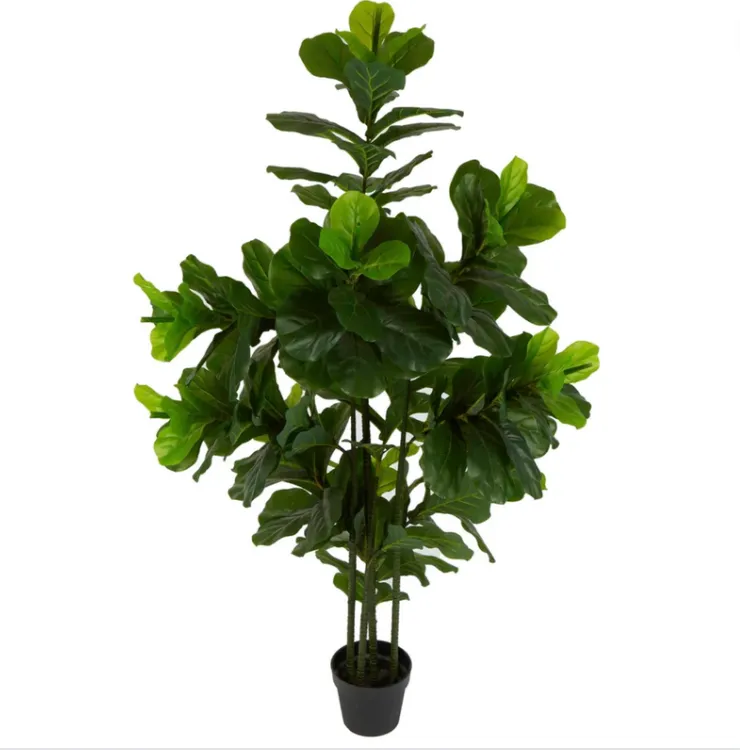Fiddle leaf tree 190cm