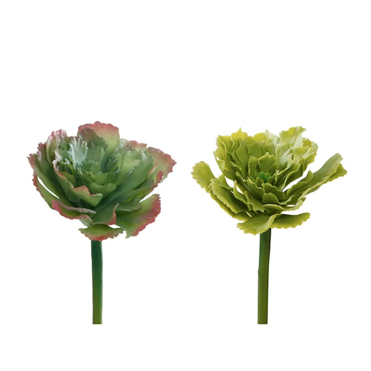 Pvc cabbage pick 