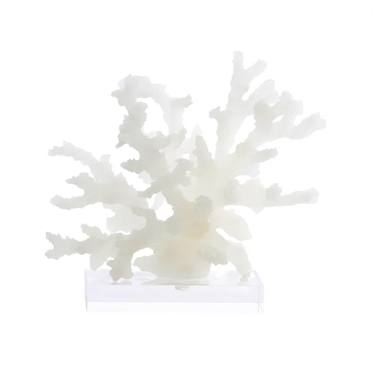 Acrylic coral on base