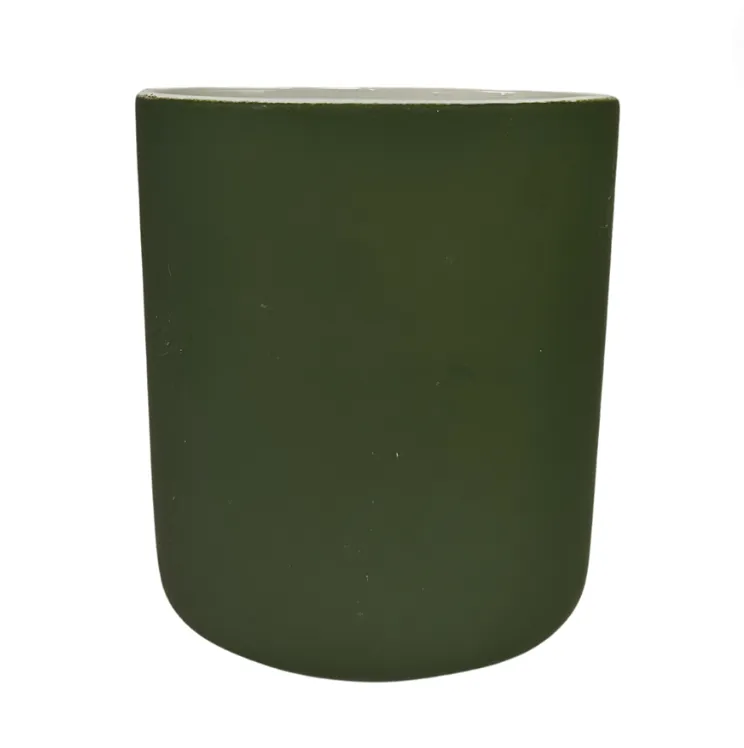 Green Soft Touch Toothbrush Holder