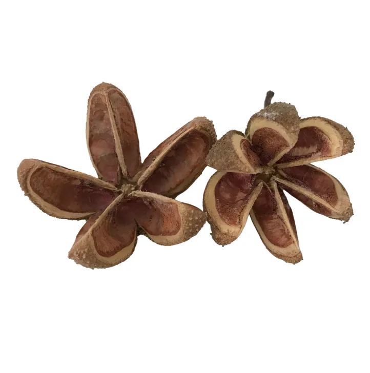 Dried Orange Pod