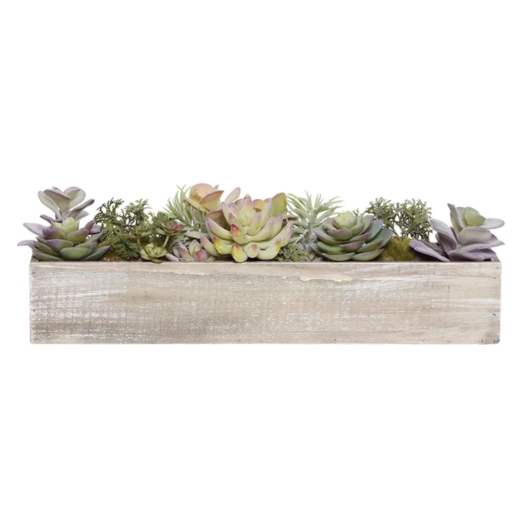 Succulent timber tray rectangle