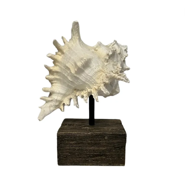 Resin Sea Shell on Stand