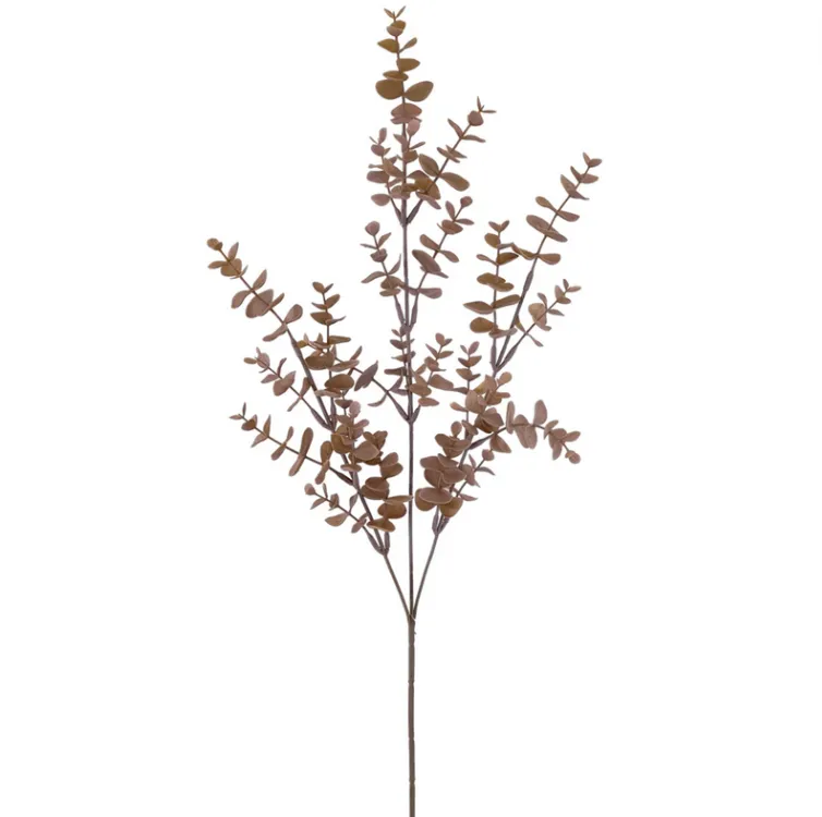Eucalyptus Brown Spray 70cm