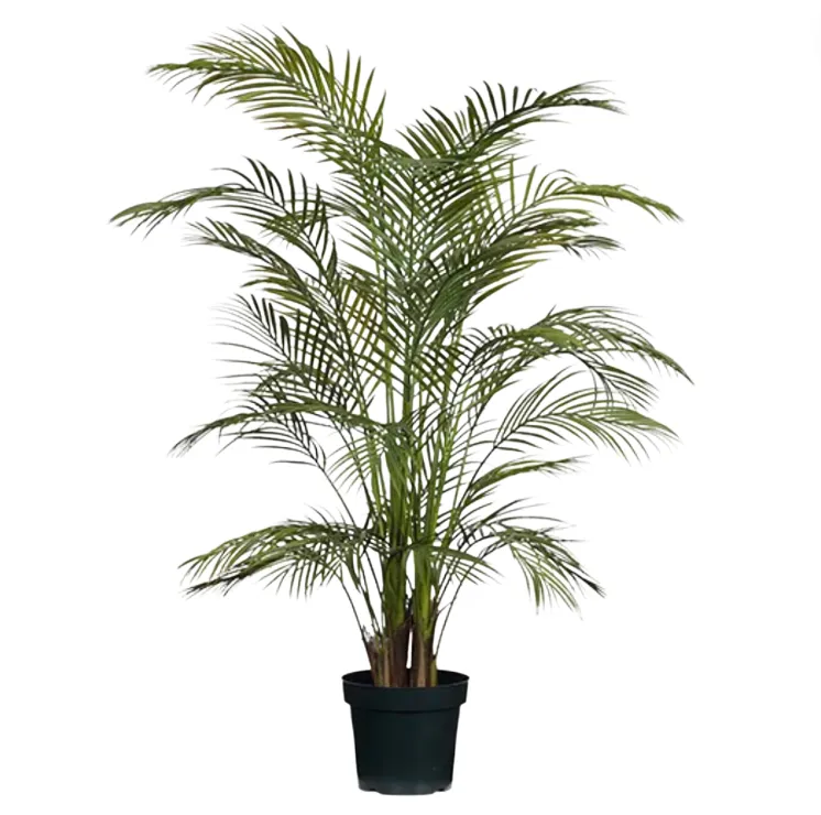 Palm Tree 160cm