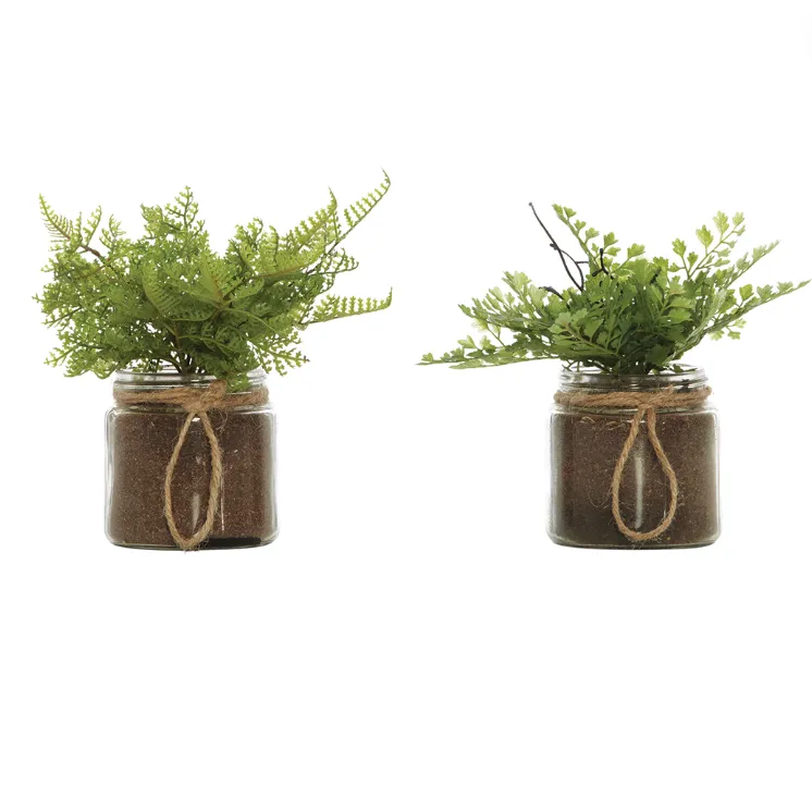 Fern in glass jar