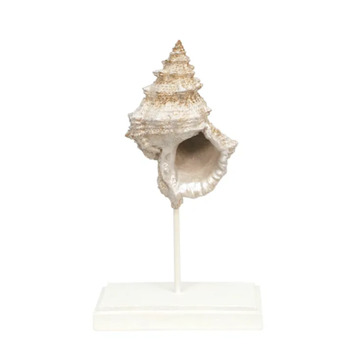 Brown Shell on Stand Short