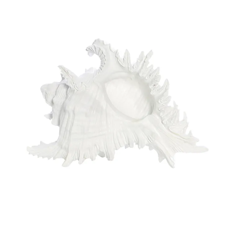 White Resin Shell