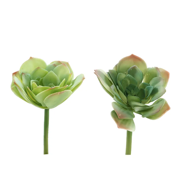 Pvc succulent pick