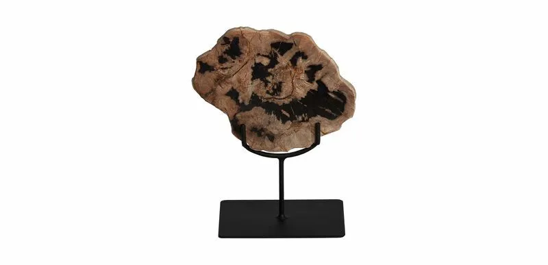 Petrified Wood On Stand Small