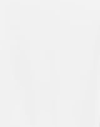 90" x 132" Scuba Tablecloth