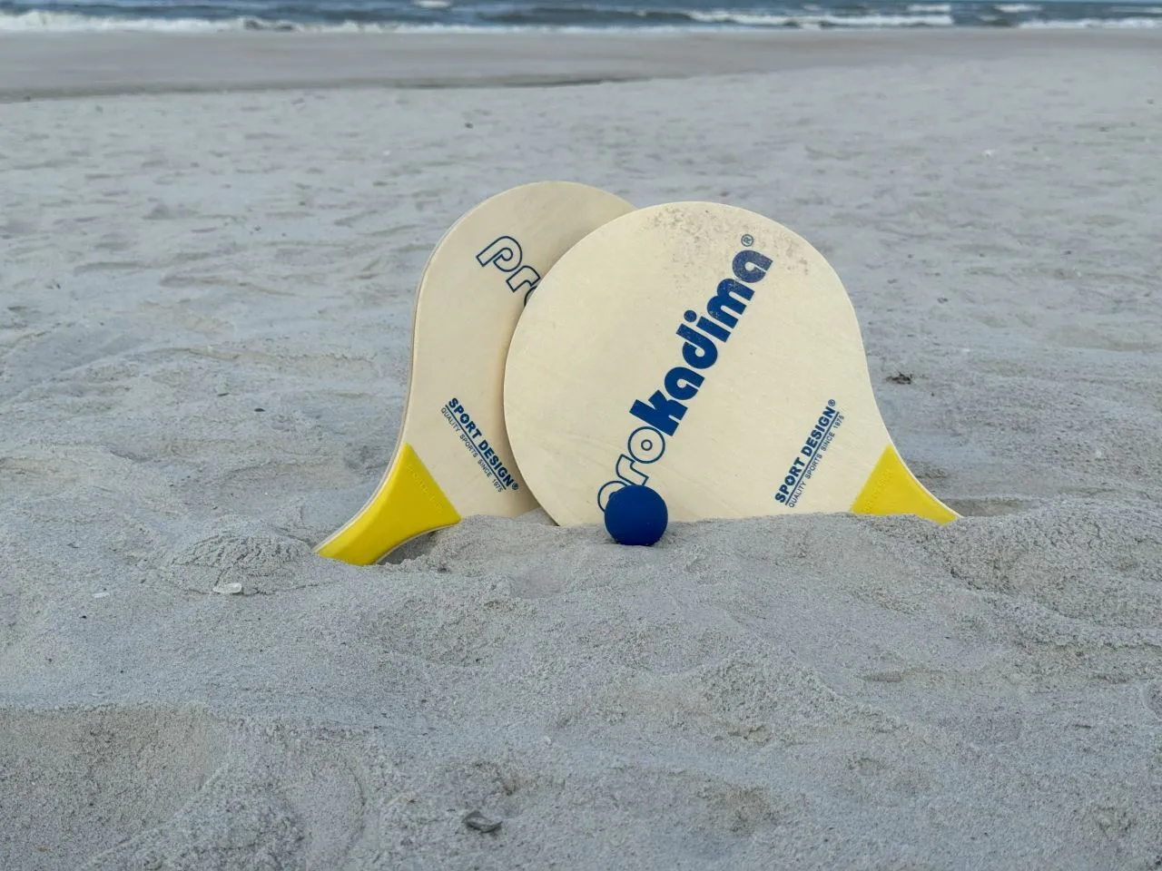 Paddle Ball Set