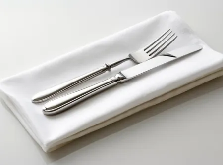 Elegant Napkin Rental