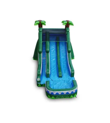  Dual Lane Tropical Water Slide