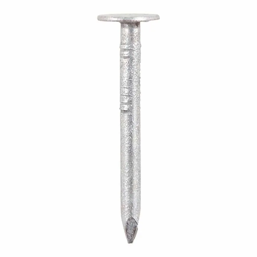 2.65x30mm Timco Galvanised Clout Nails 500g (408pk)