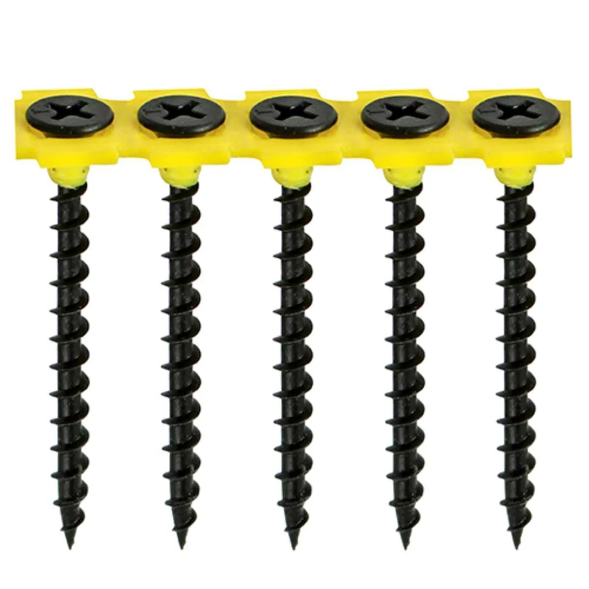3.5x50mm Timco Collated Drywall Screws 1000pk