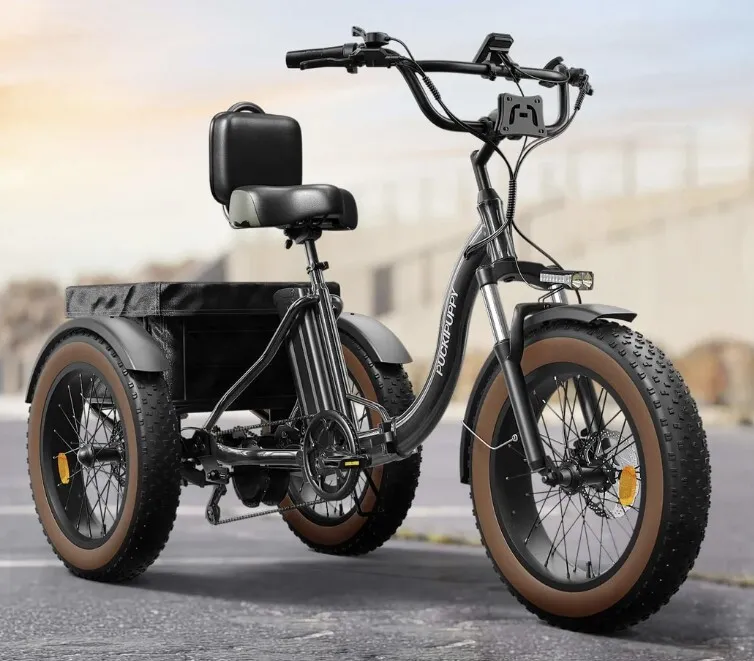 E-Trike