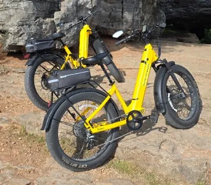 2 E-Bikes