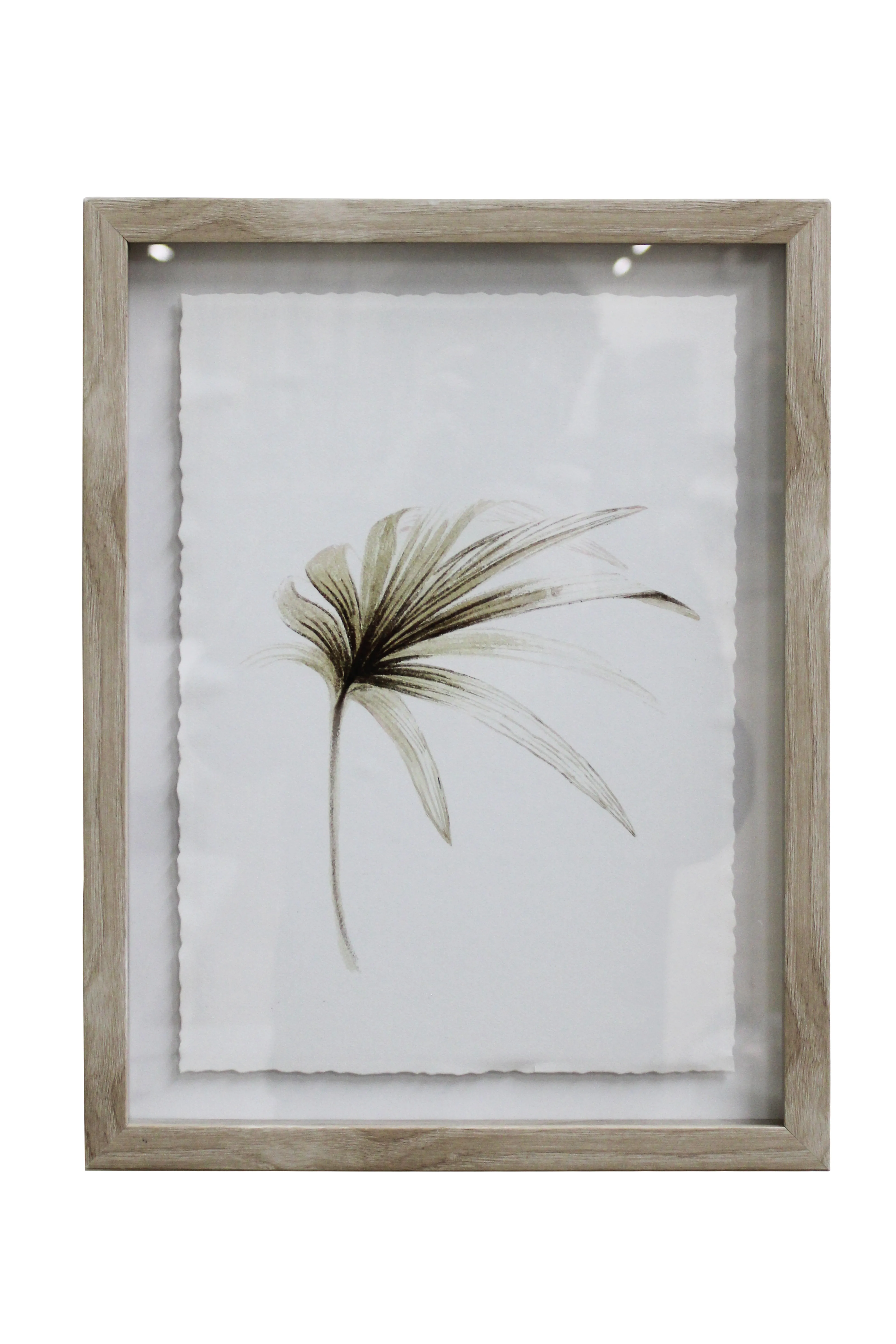 Elegant Palm Artwork - BAW101