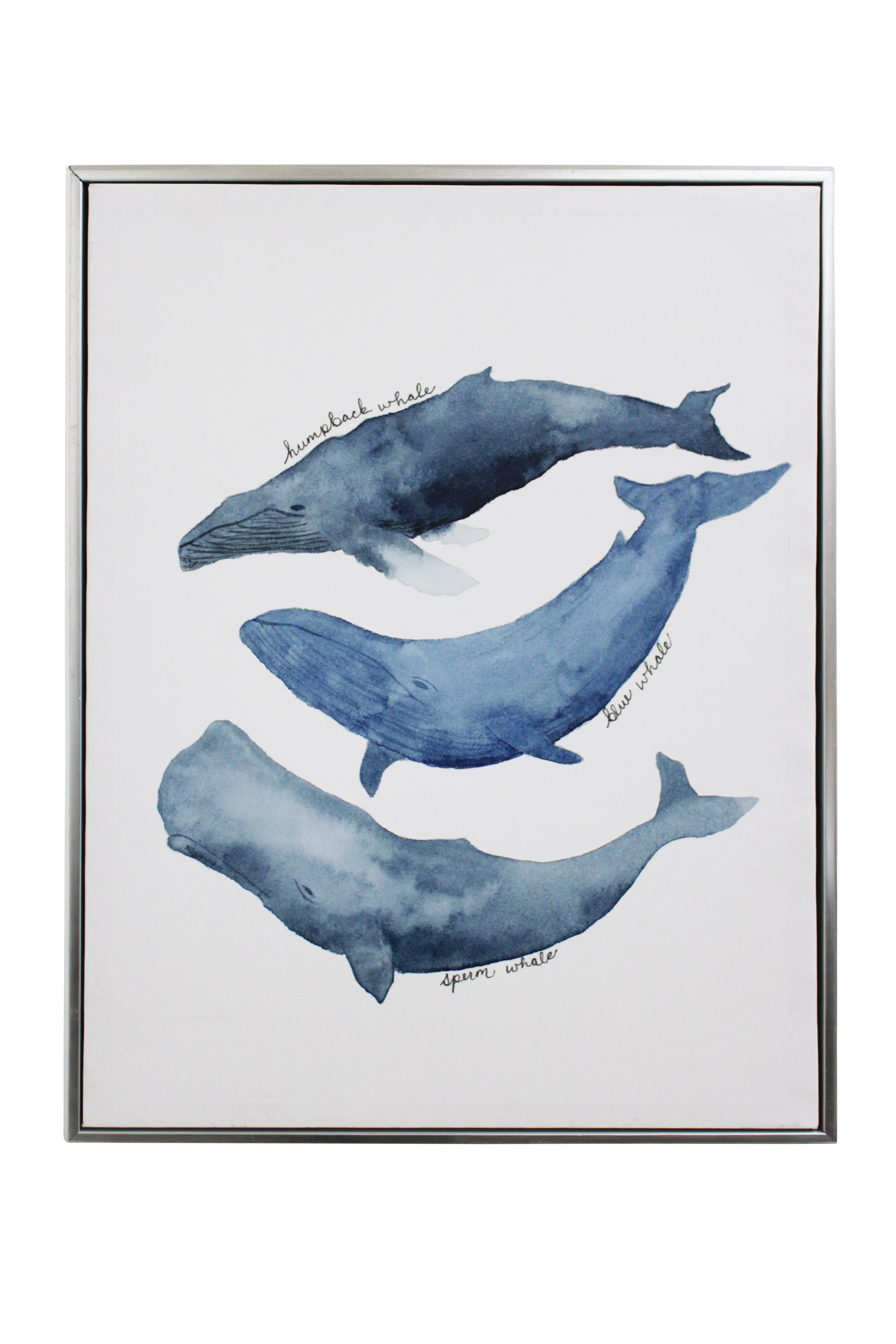 Whale Watercolour Trio Kids Artwork - KAW554