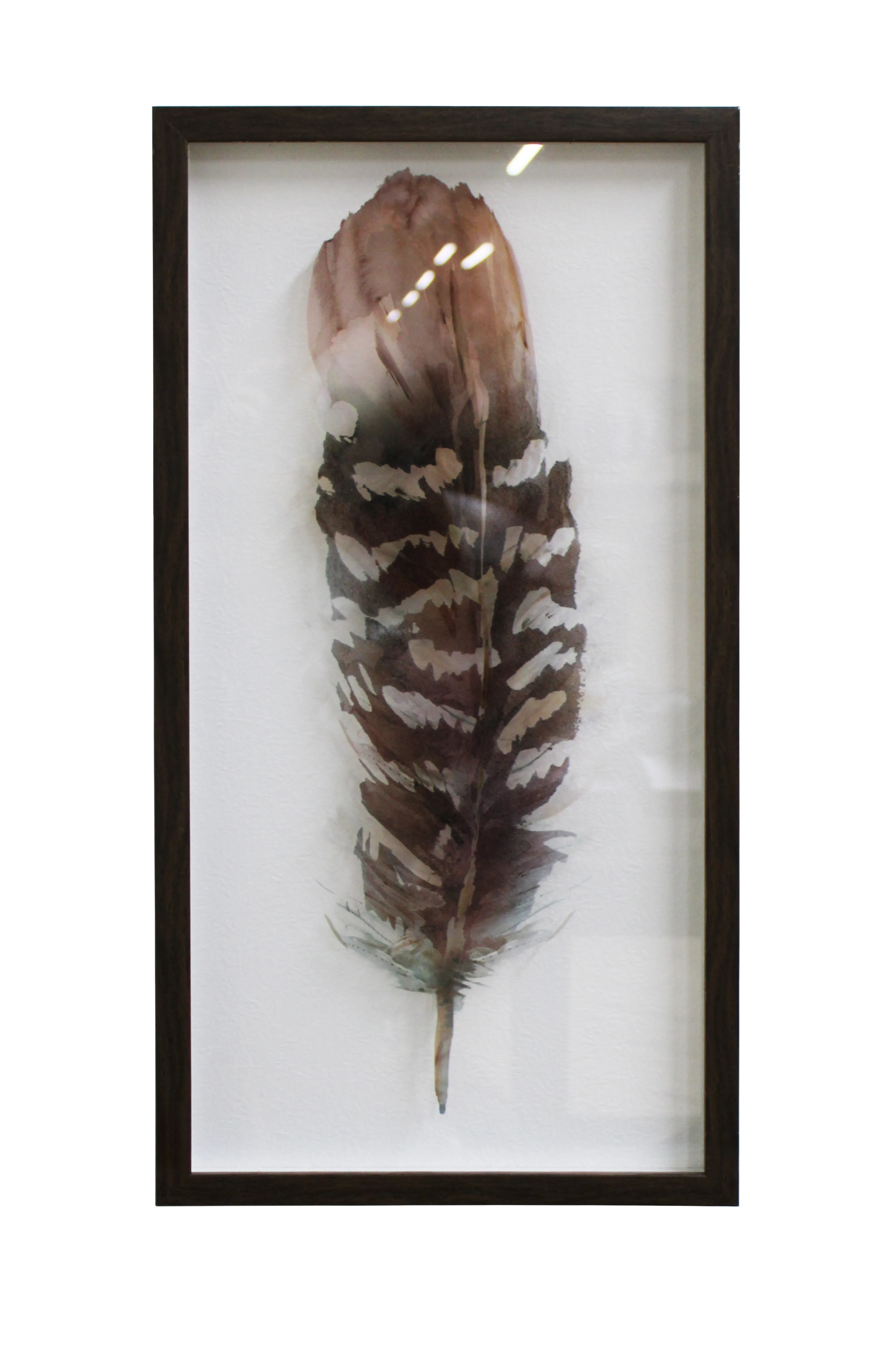 Autumn Plume - AW201