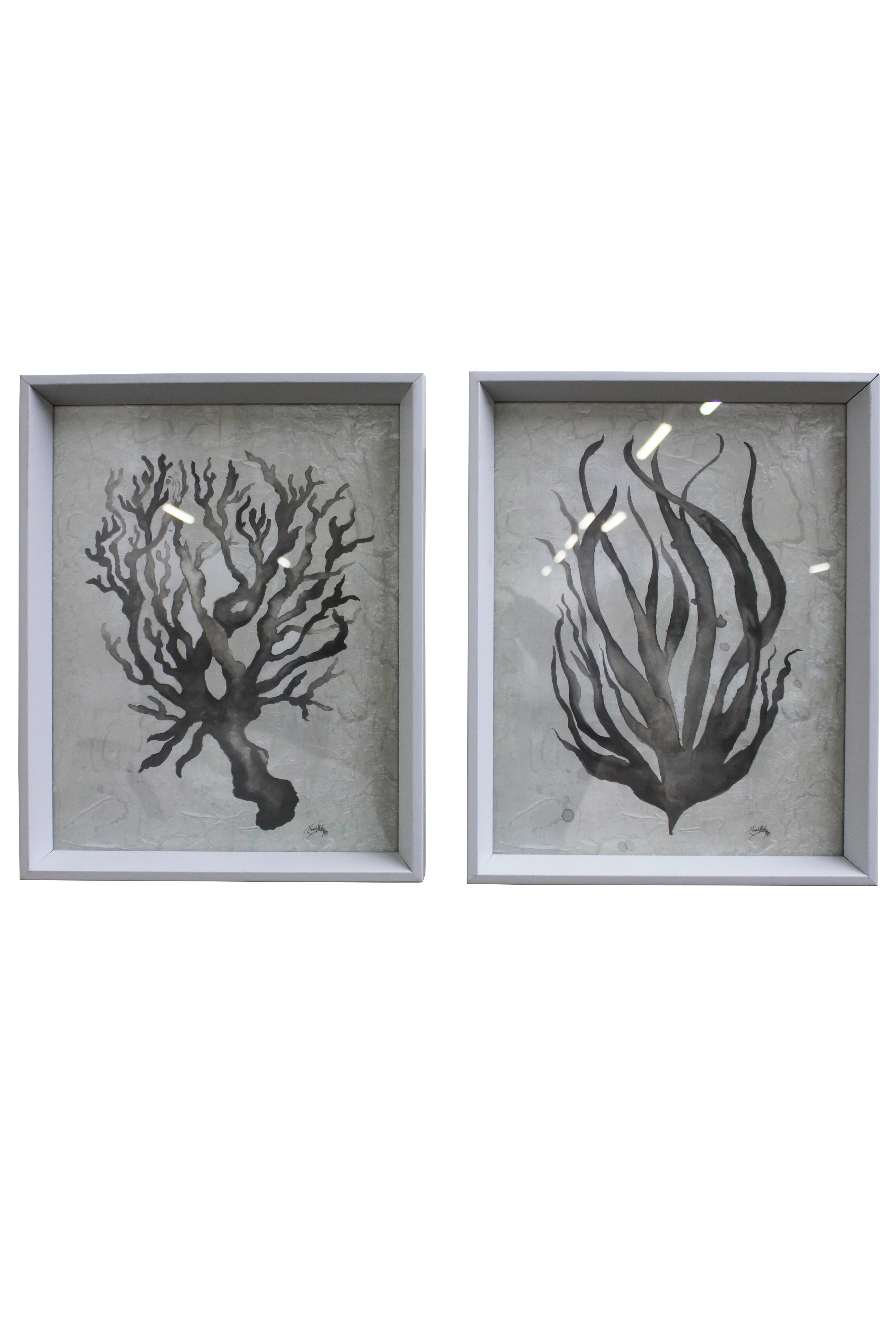 Abstract Coral and Seaweed Artwork Set - BAW314