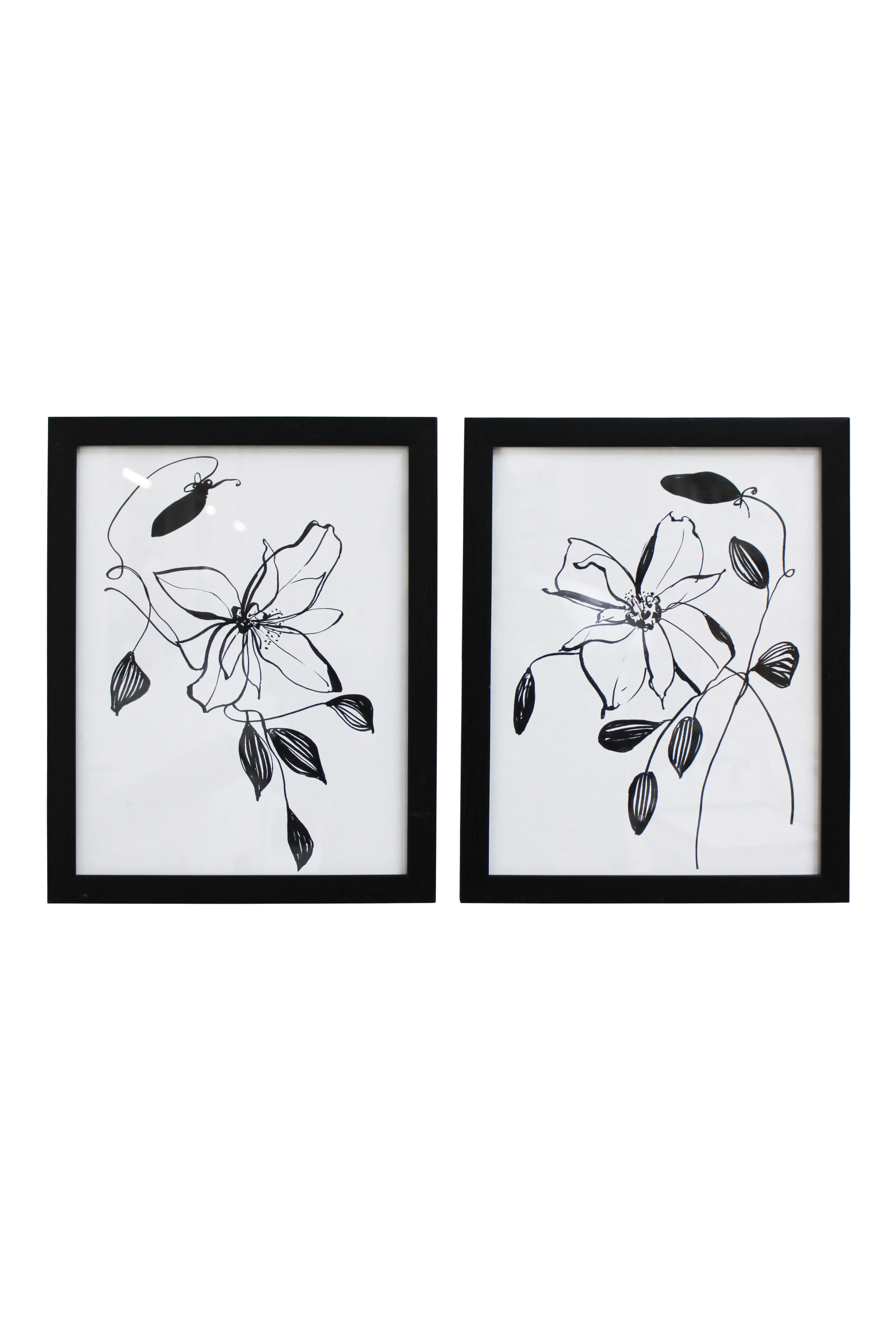 Elegant Floral Line Artwork Set - BAW281
