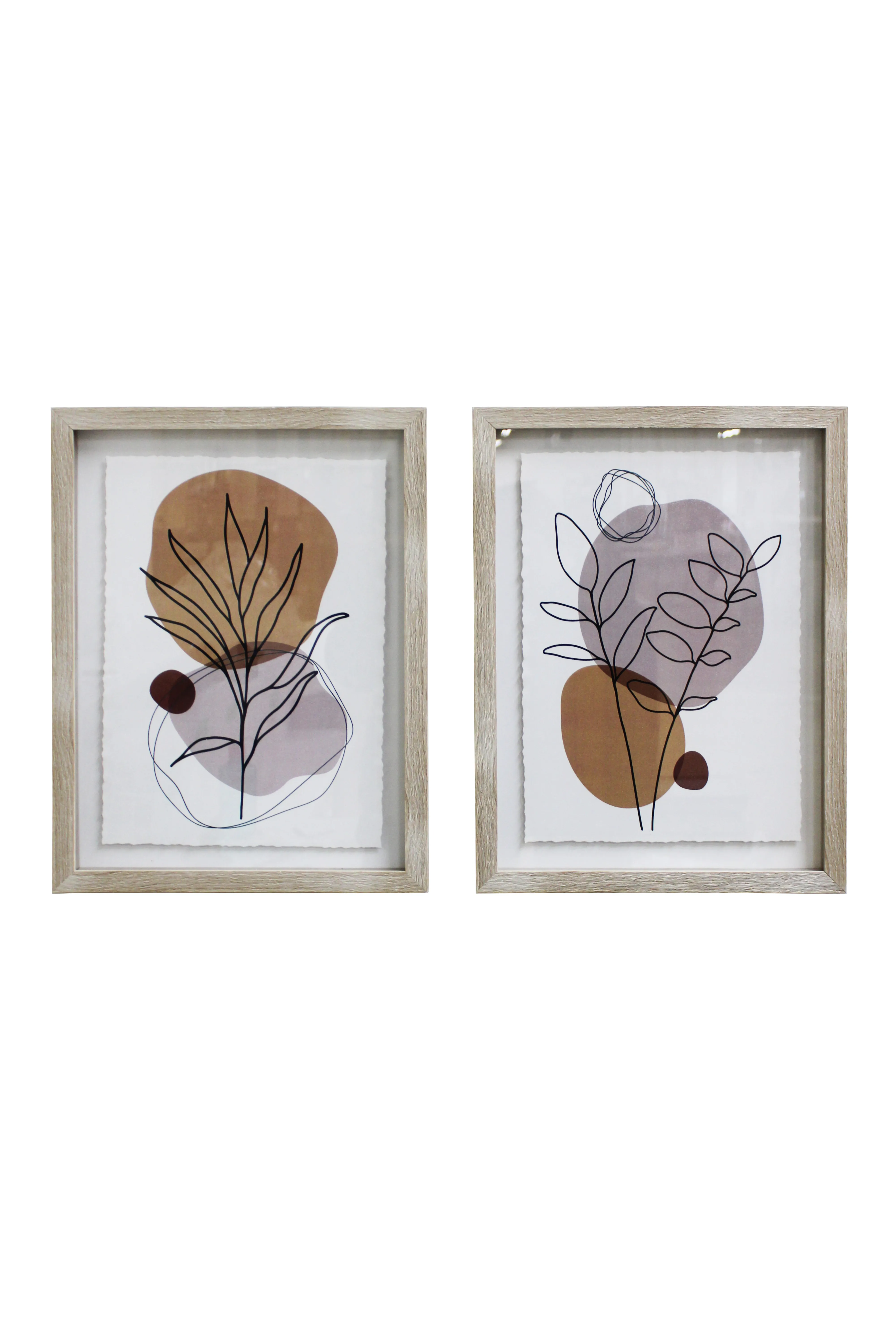 Abstract Botanical Artwork Set - BAW304