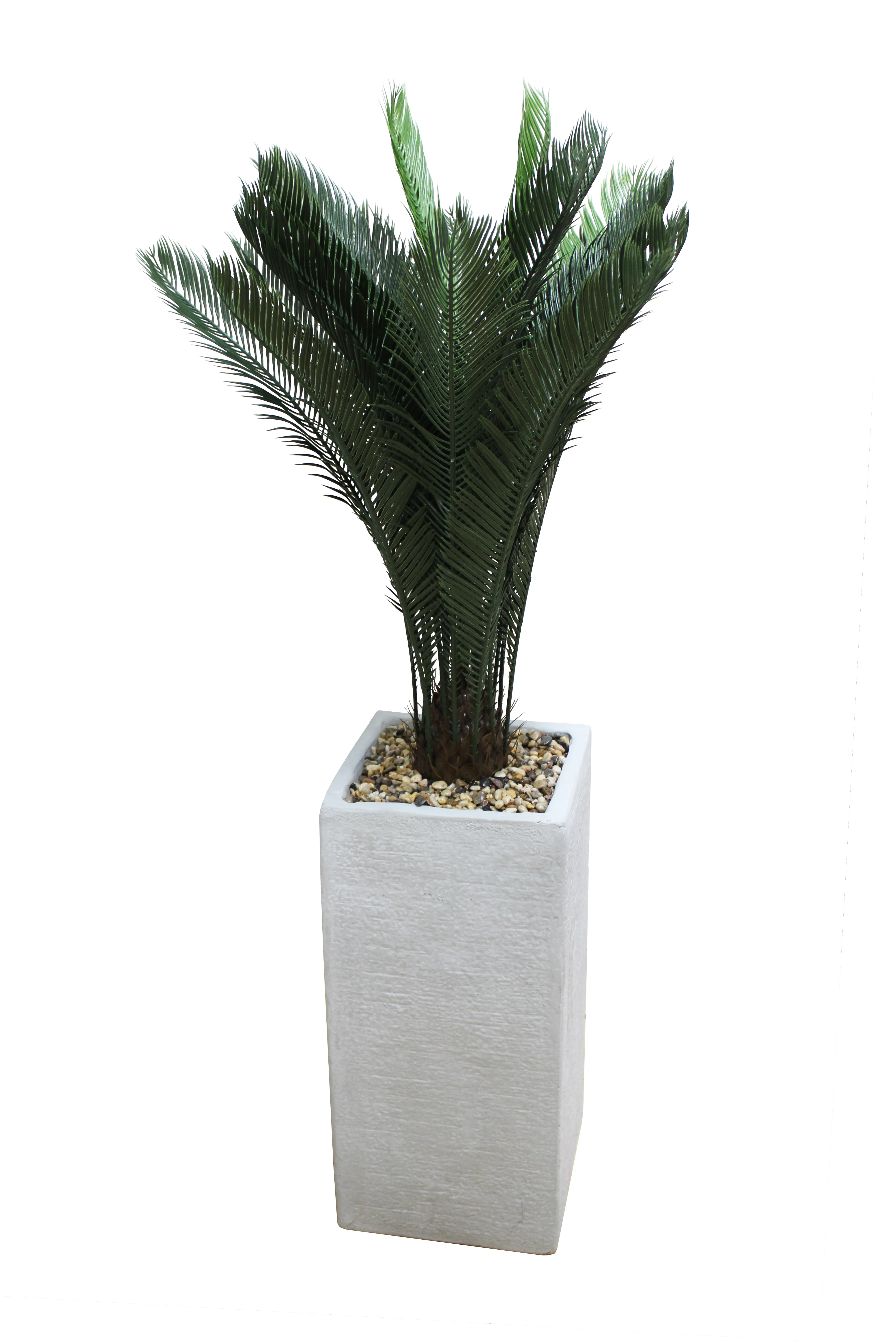 Sago Palm Floor Plant 4.5' - FP20