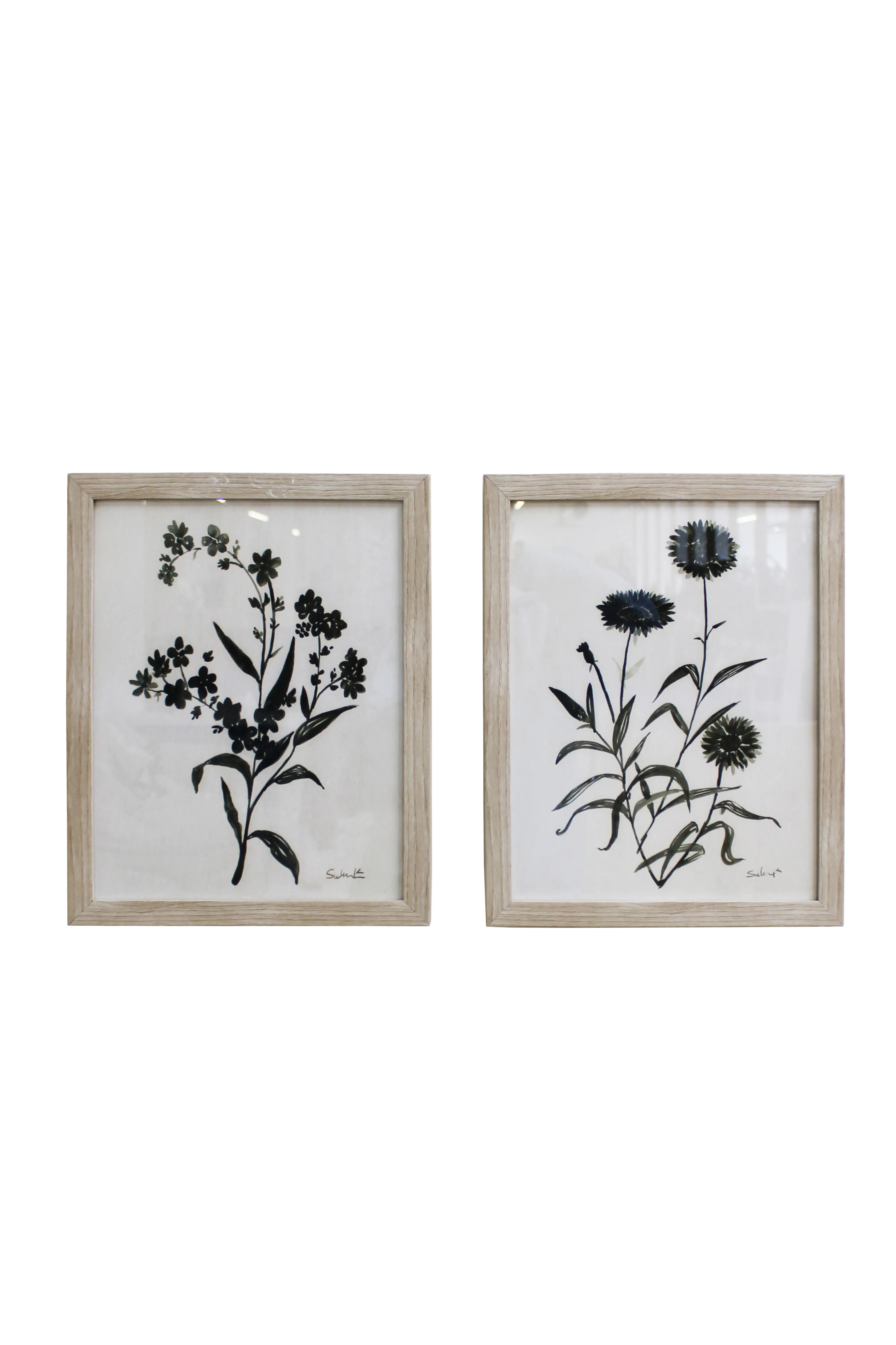 Botanical Silhouettes Artwork Set - BAW1153