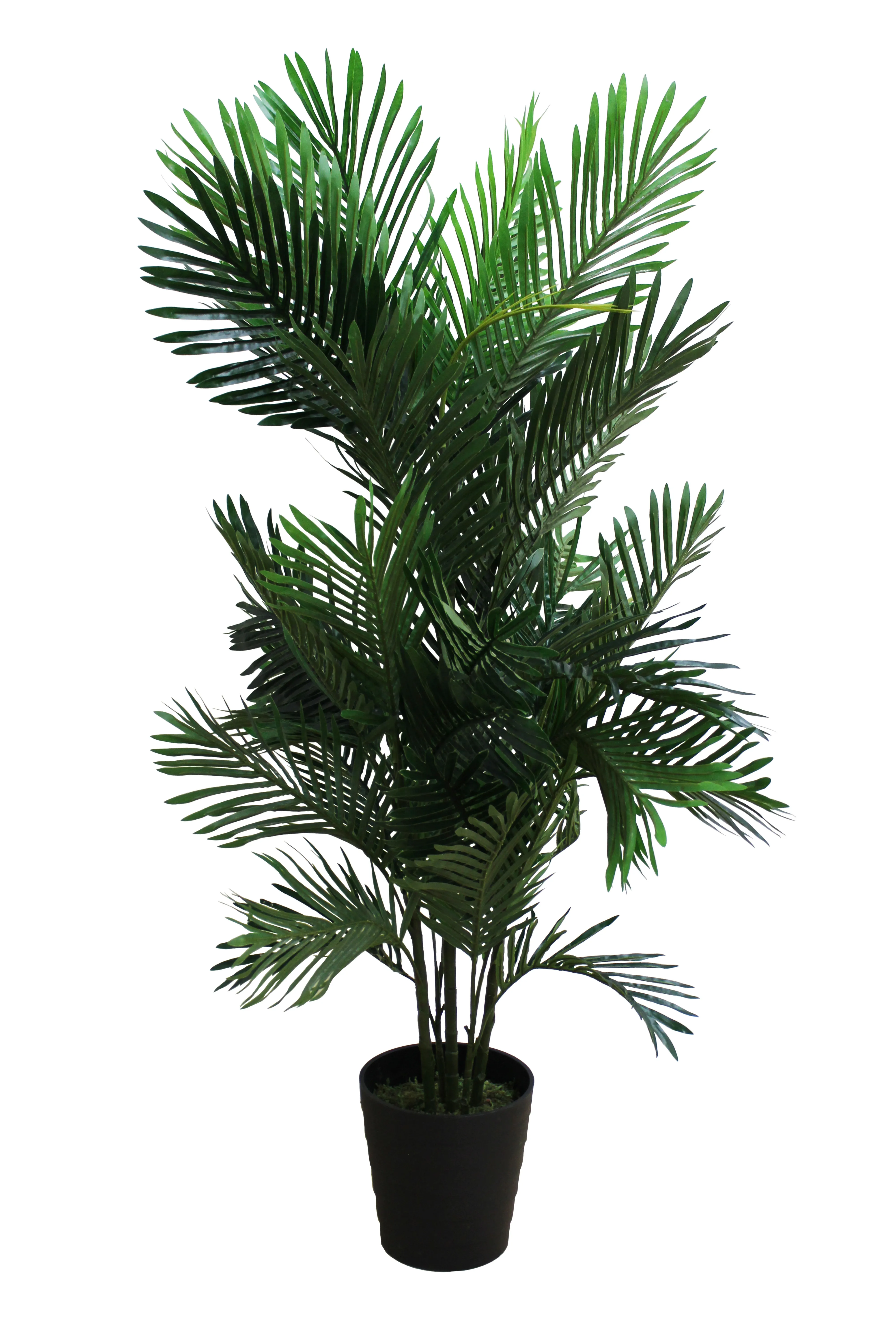 Areca Palm Floor Plant 5' - FP10