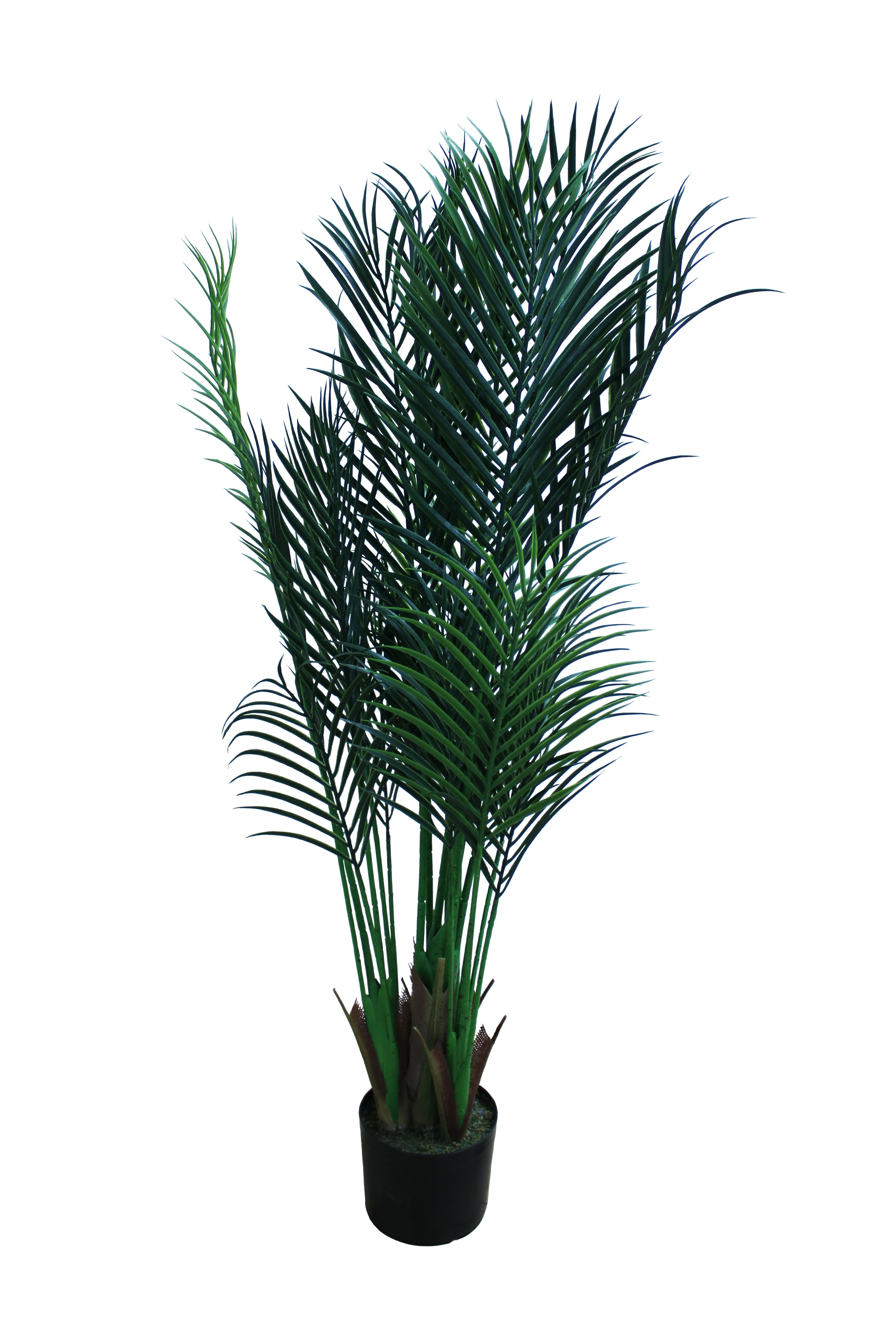 Areca Palm Floor Plant 4' - FP23