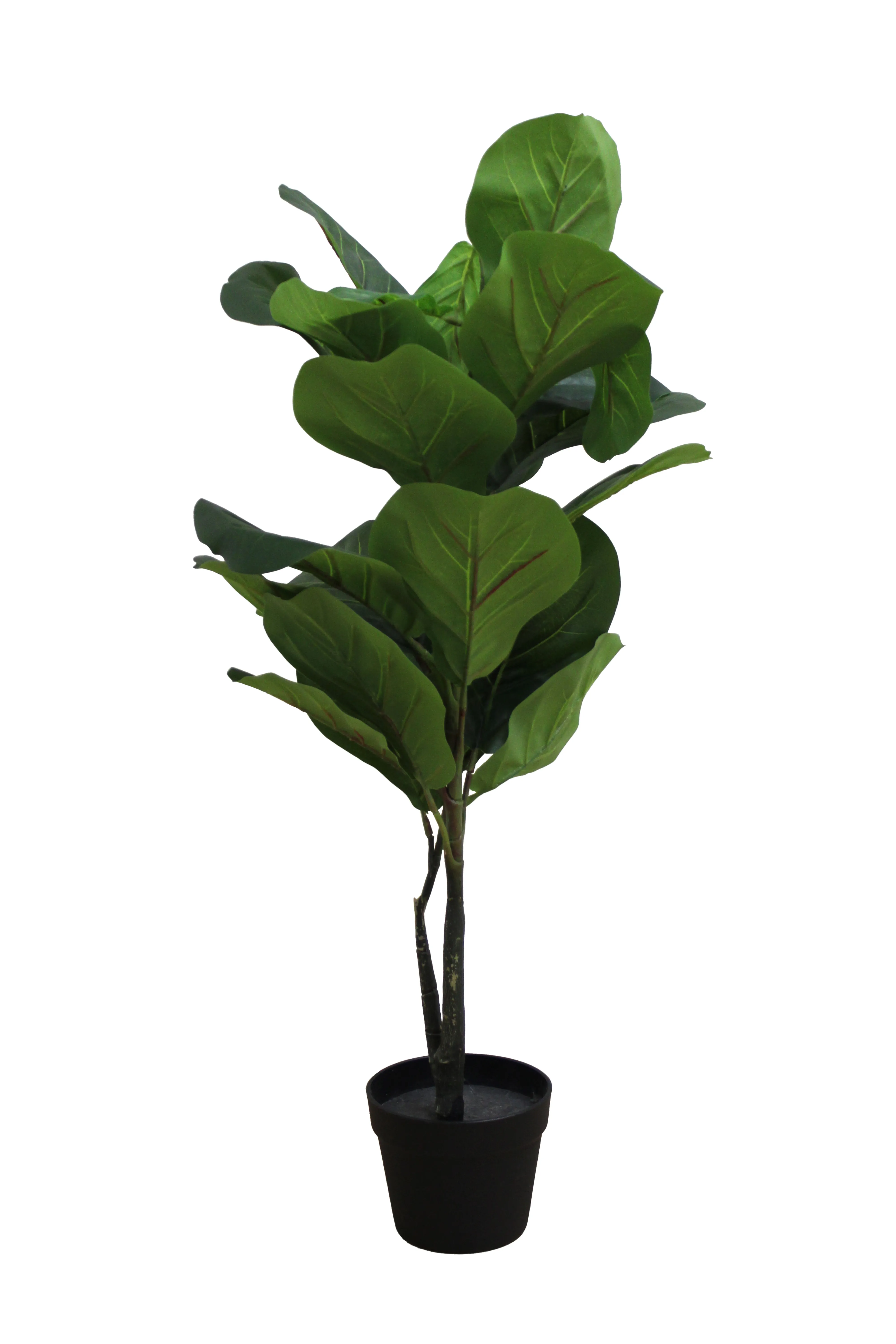 Fiddle Leaf Fig Floor Plant 3' - FP3