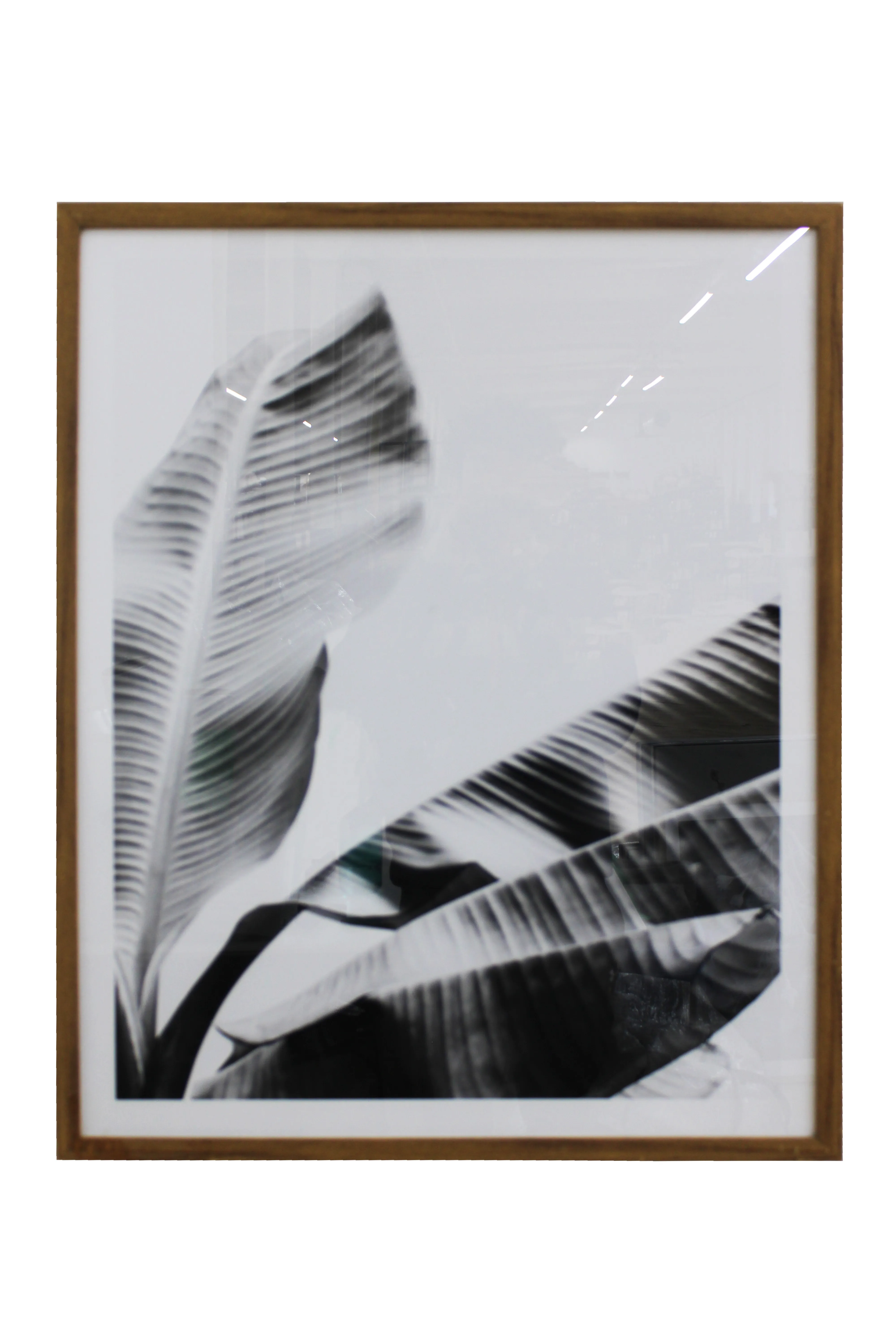 Monochrome Leaves Artwork - AW1030