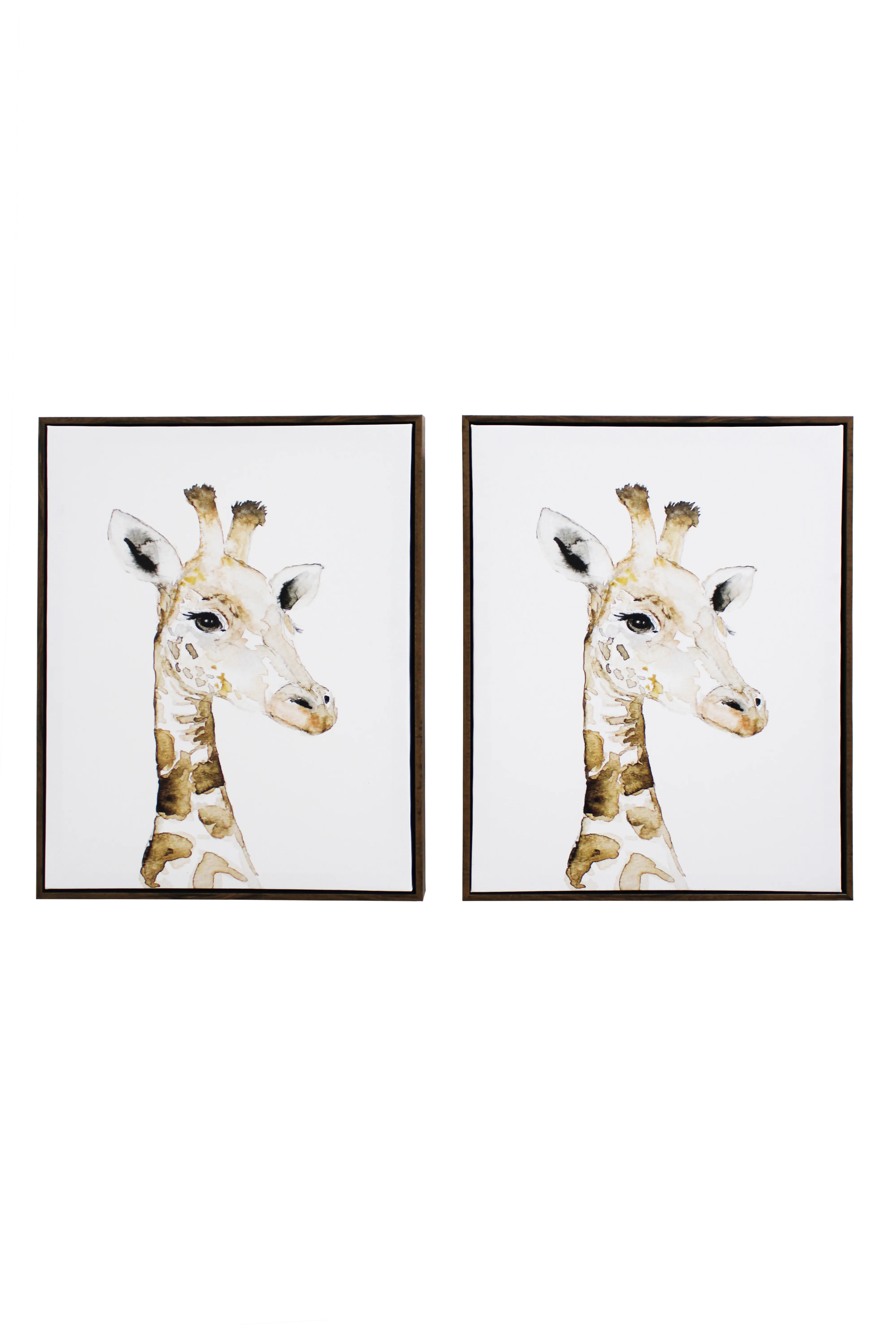 Giraffe Watercolour Kids Artwork Set - KAW1224