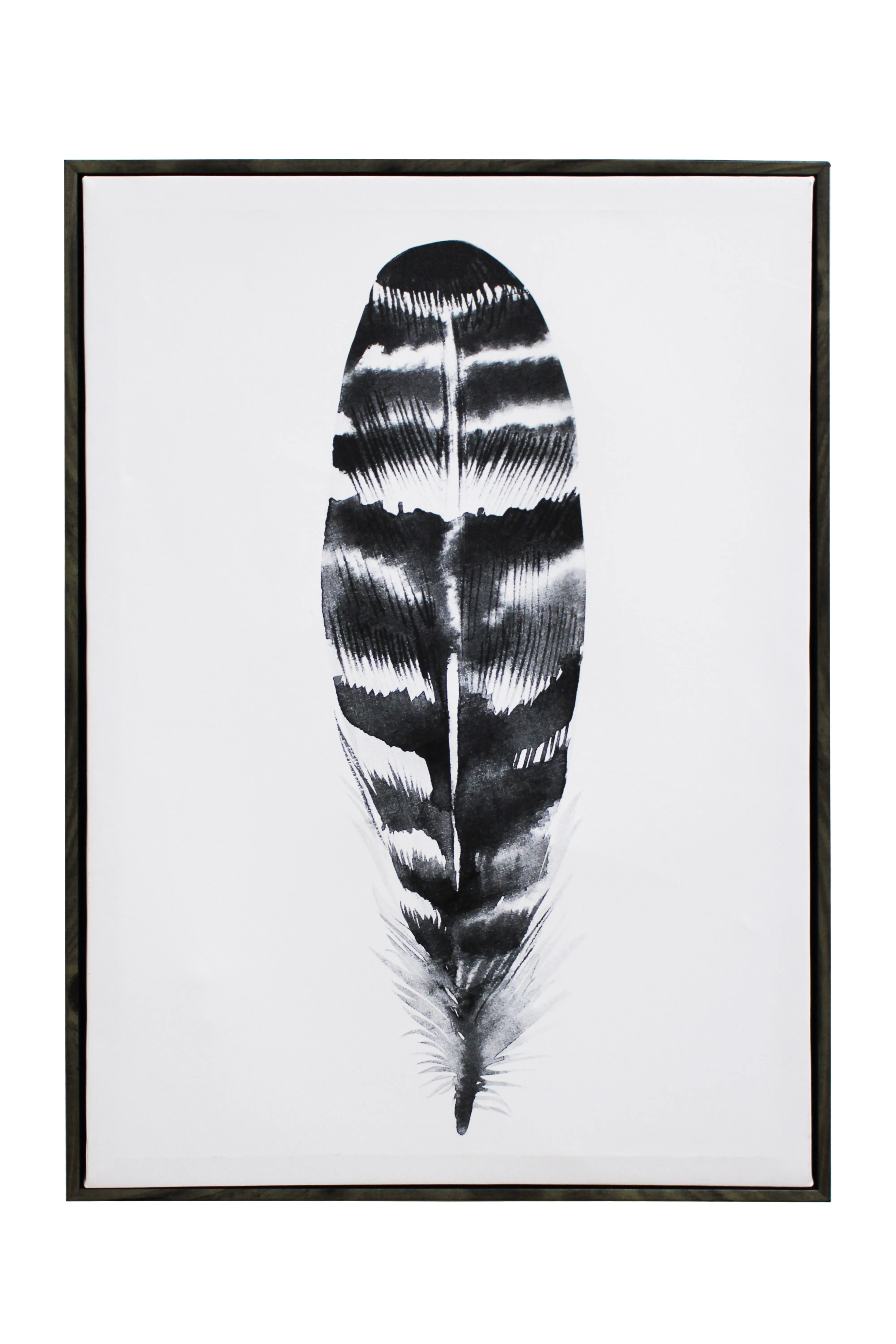 Monochrome Feather Artwork - AW52