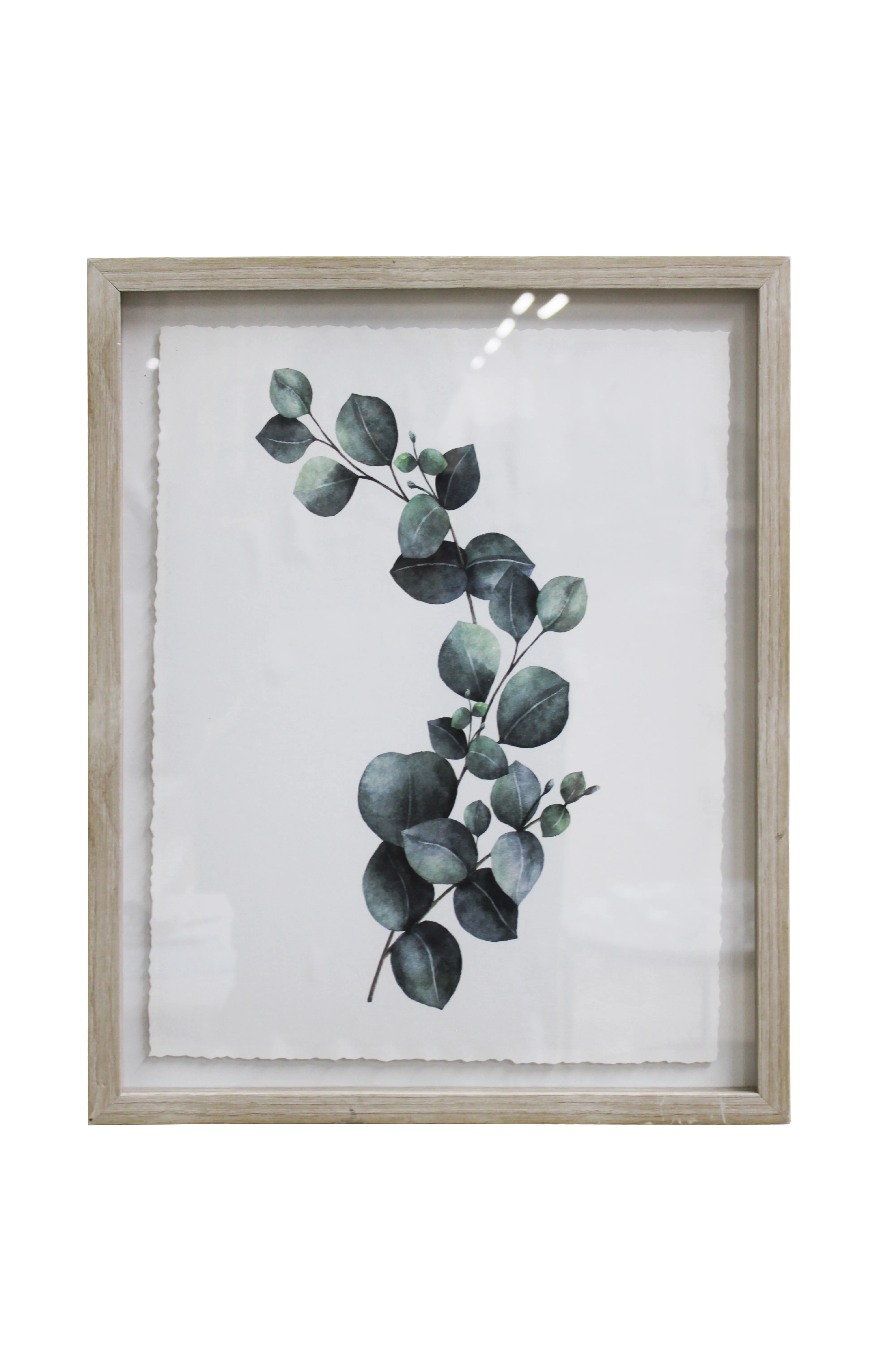 Eucalyptus Grace Artwork - BAW84