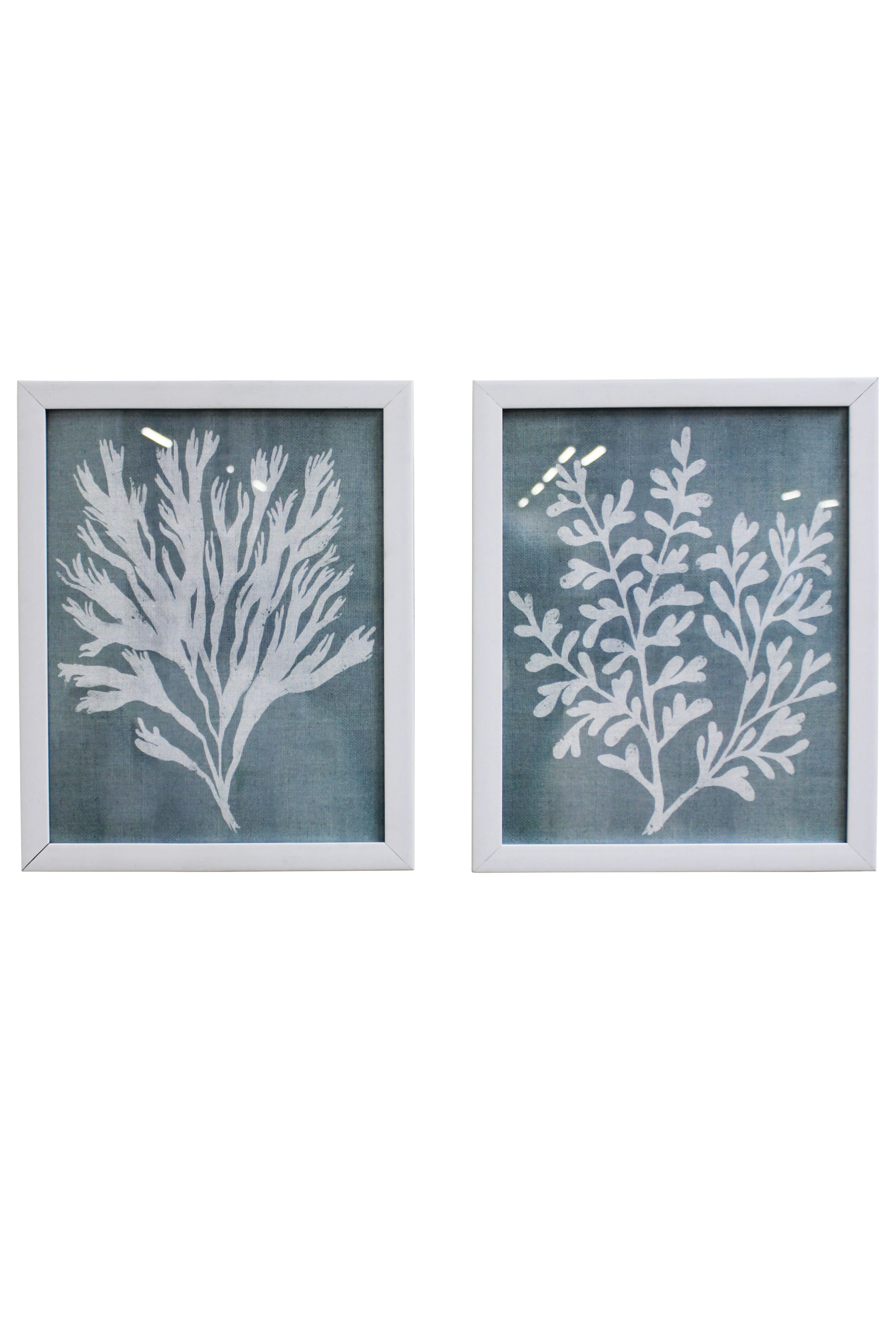 Oceanic Botanical Artwork Set - BAW320