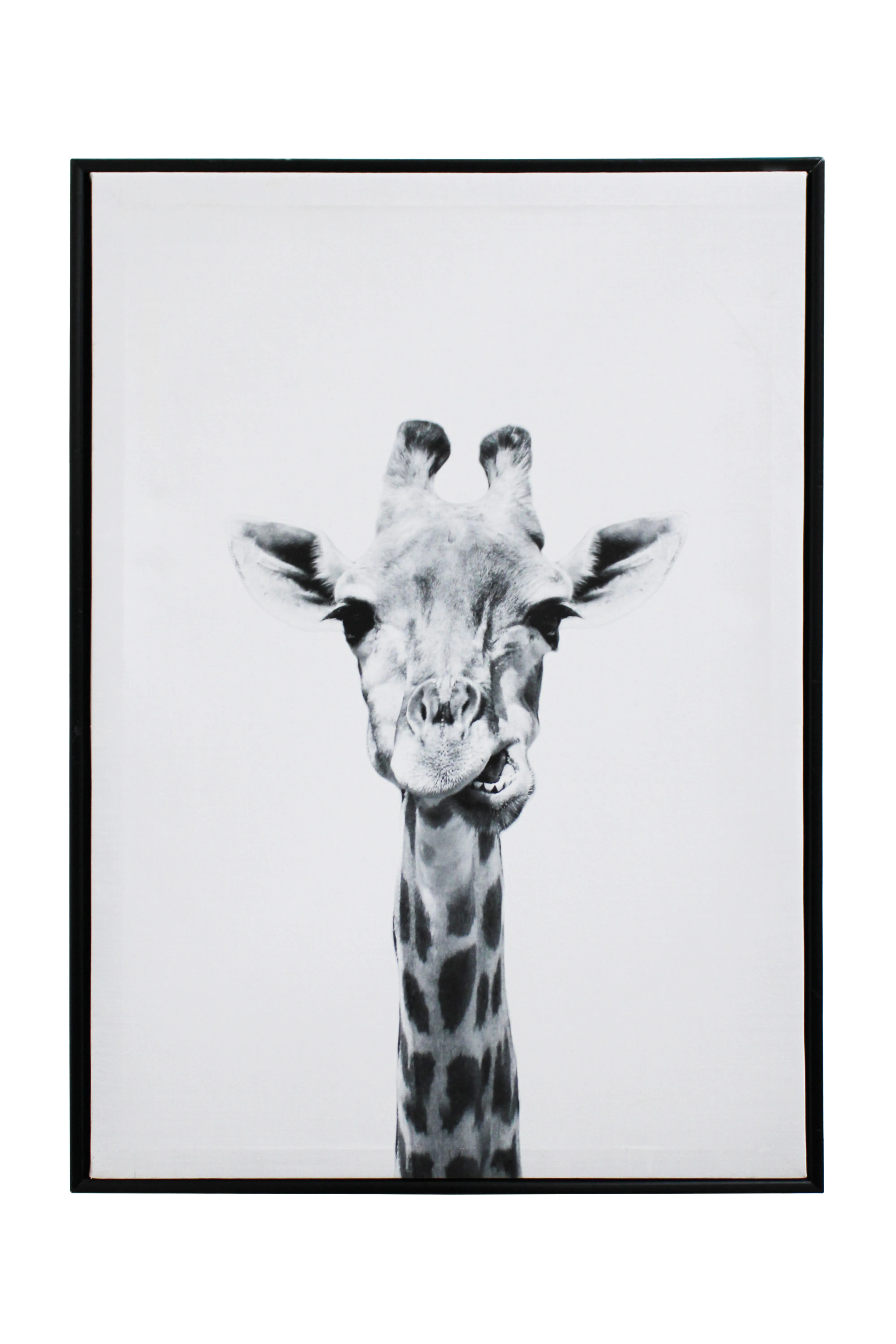 Giraffe Portrait Kids Artwork - KAW521