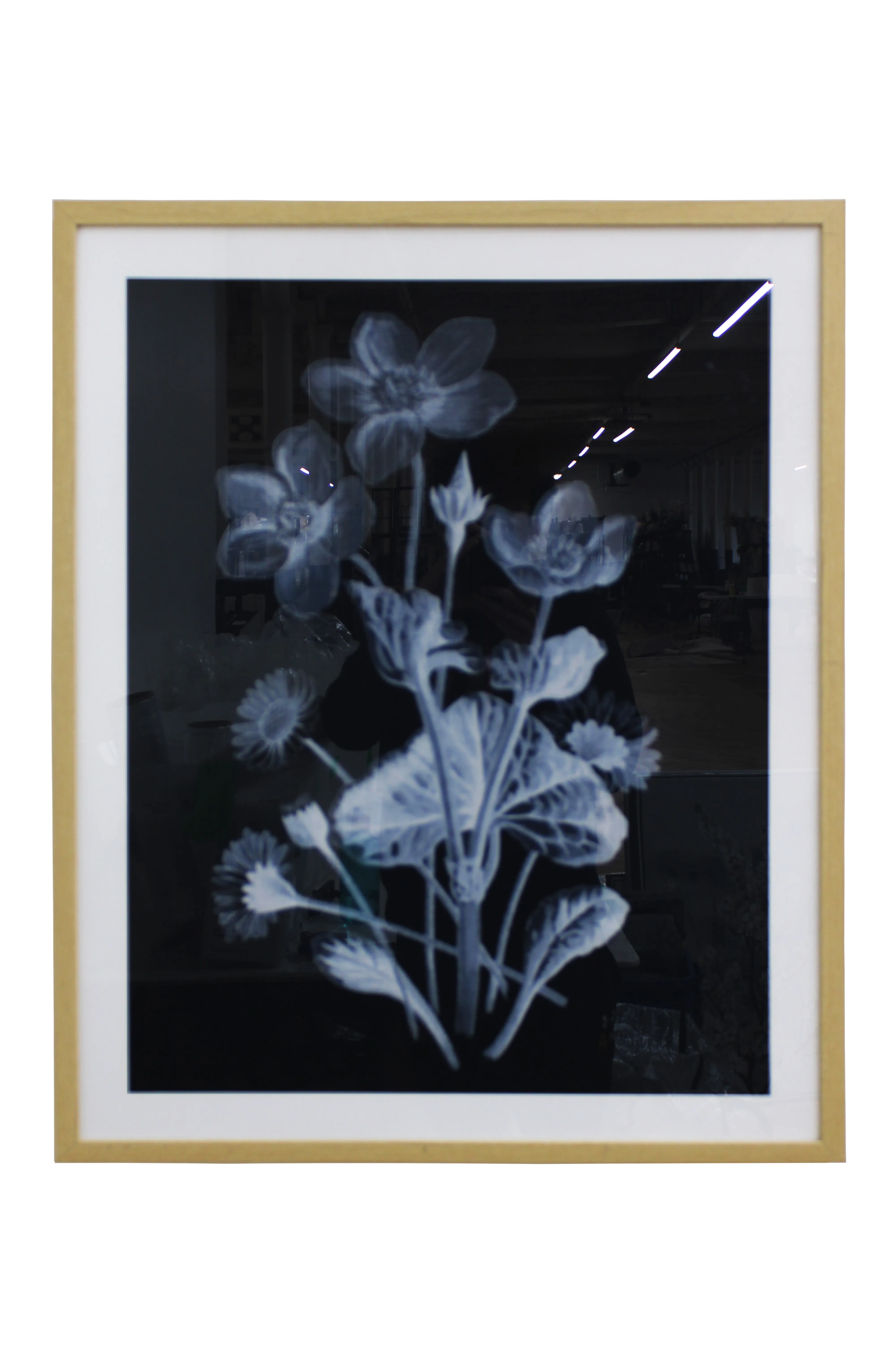 Botanical X-Ray Elegance Artwork - AW1092