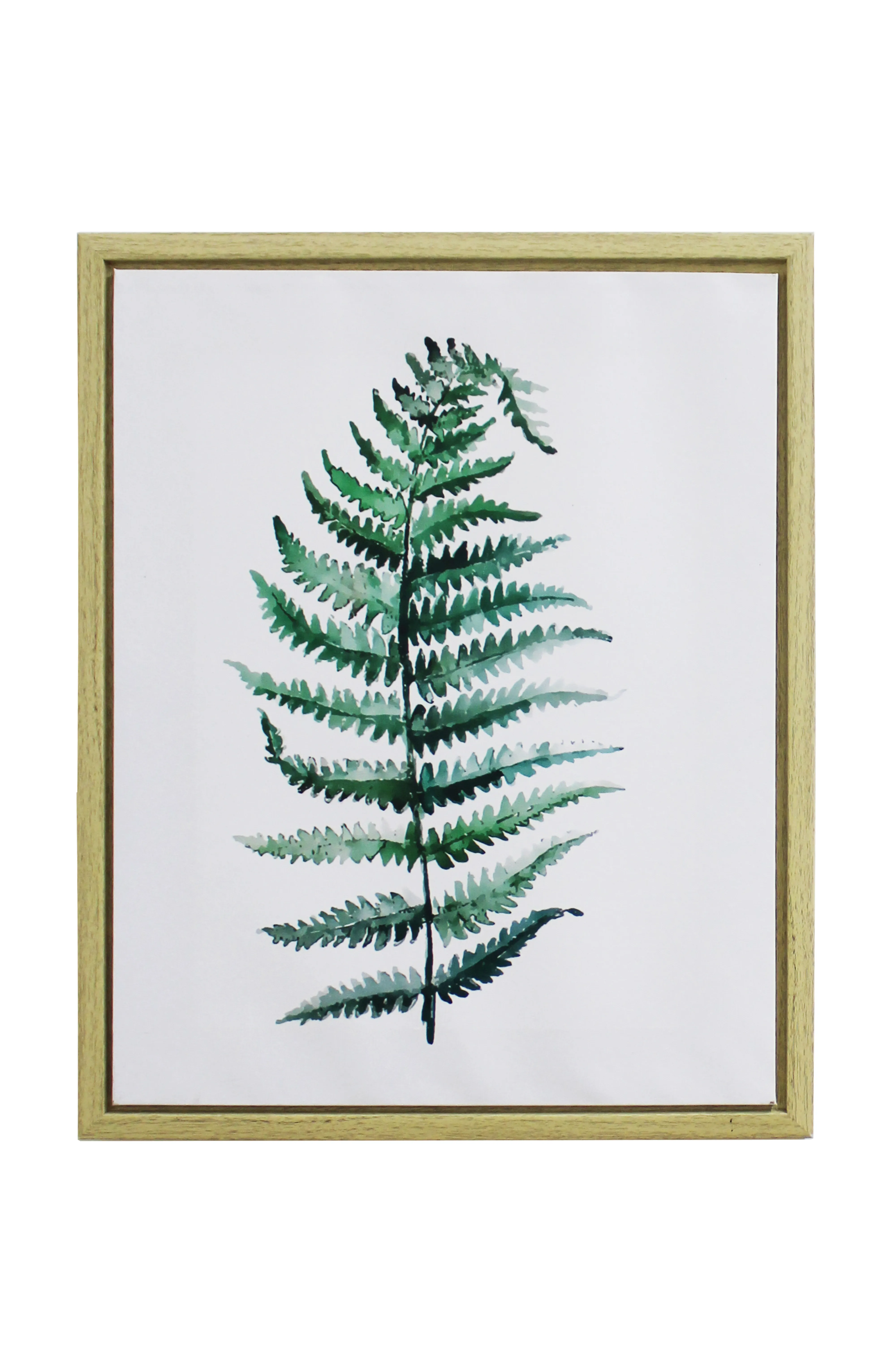 Fern Whisper Artwork - BAW269