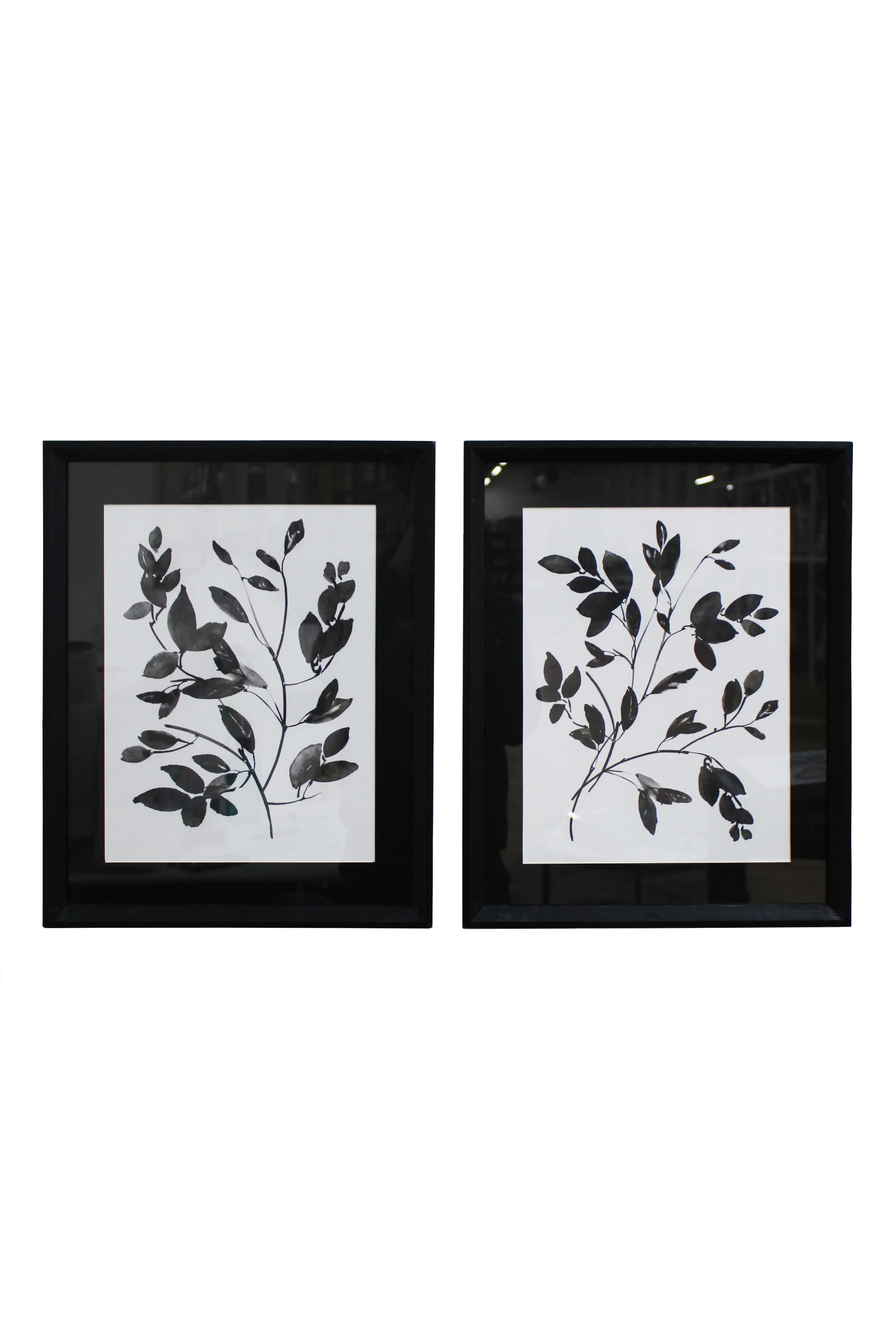 Monochrome Botanical Artwork Set - BAW413